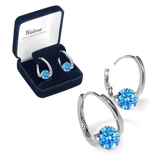 ⏰Limited Time Offer✨- Luxurious Earrings